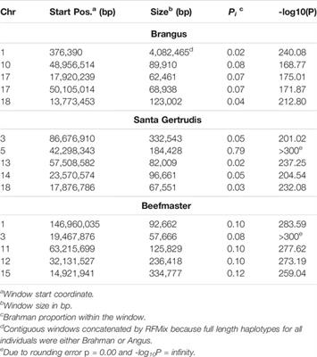 Taurine and Indicine Haplotype Representation in Advanced Generation Individuals From Three American Breeds